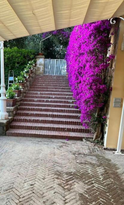 Villa Vie En Rose Sorrento Bagian luar foto